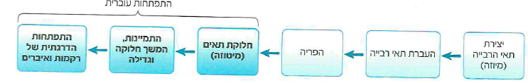 (בספר תמונה 1)